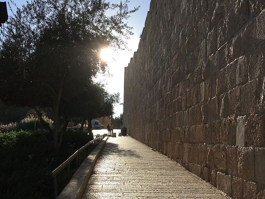 Weg zwischen Mauer und Bäumen in Richtung Sonne.